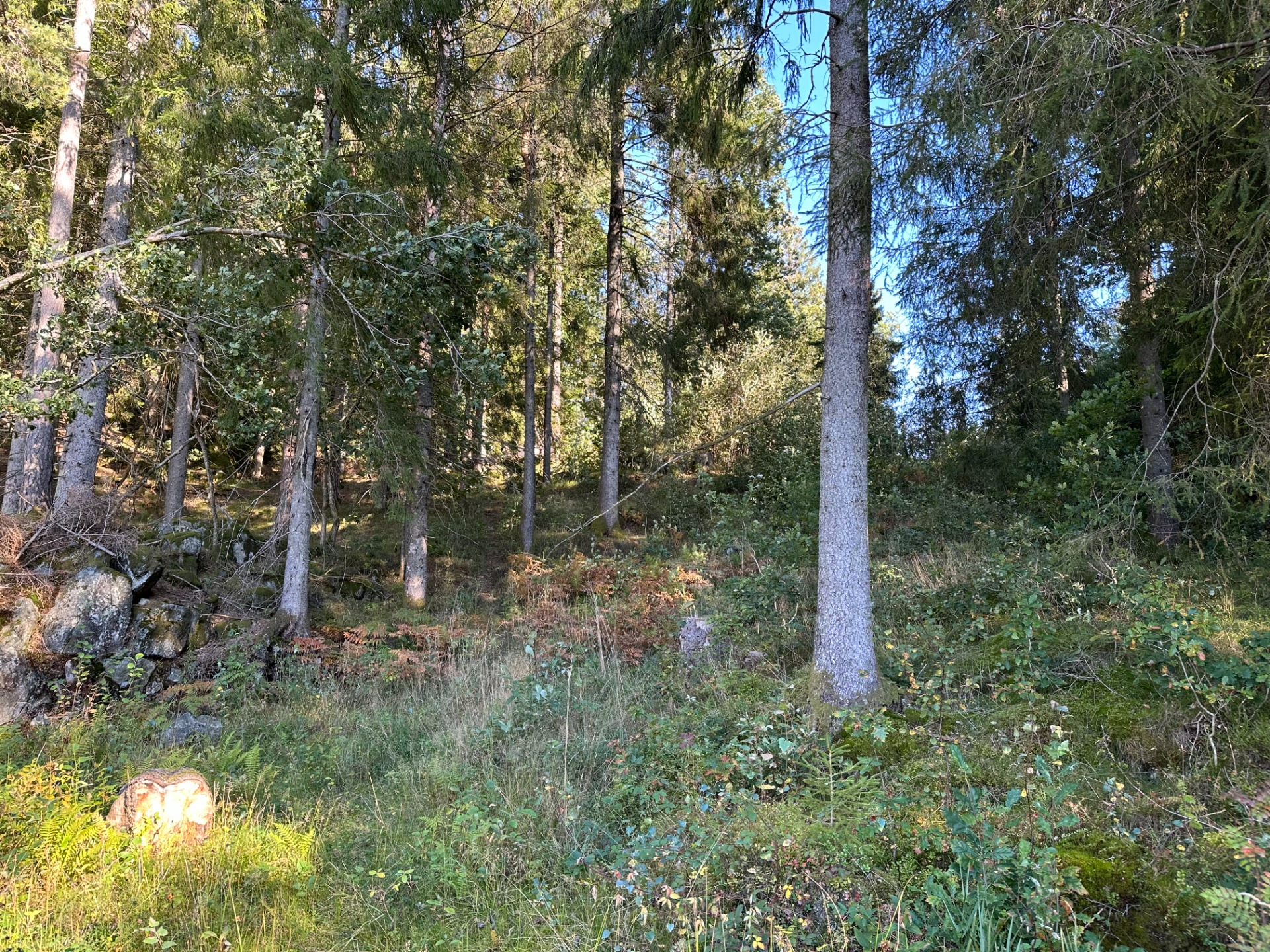 20 meter før stidele