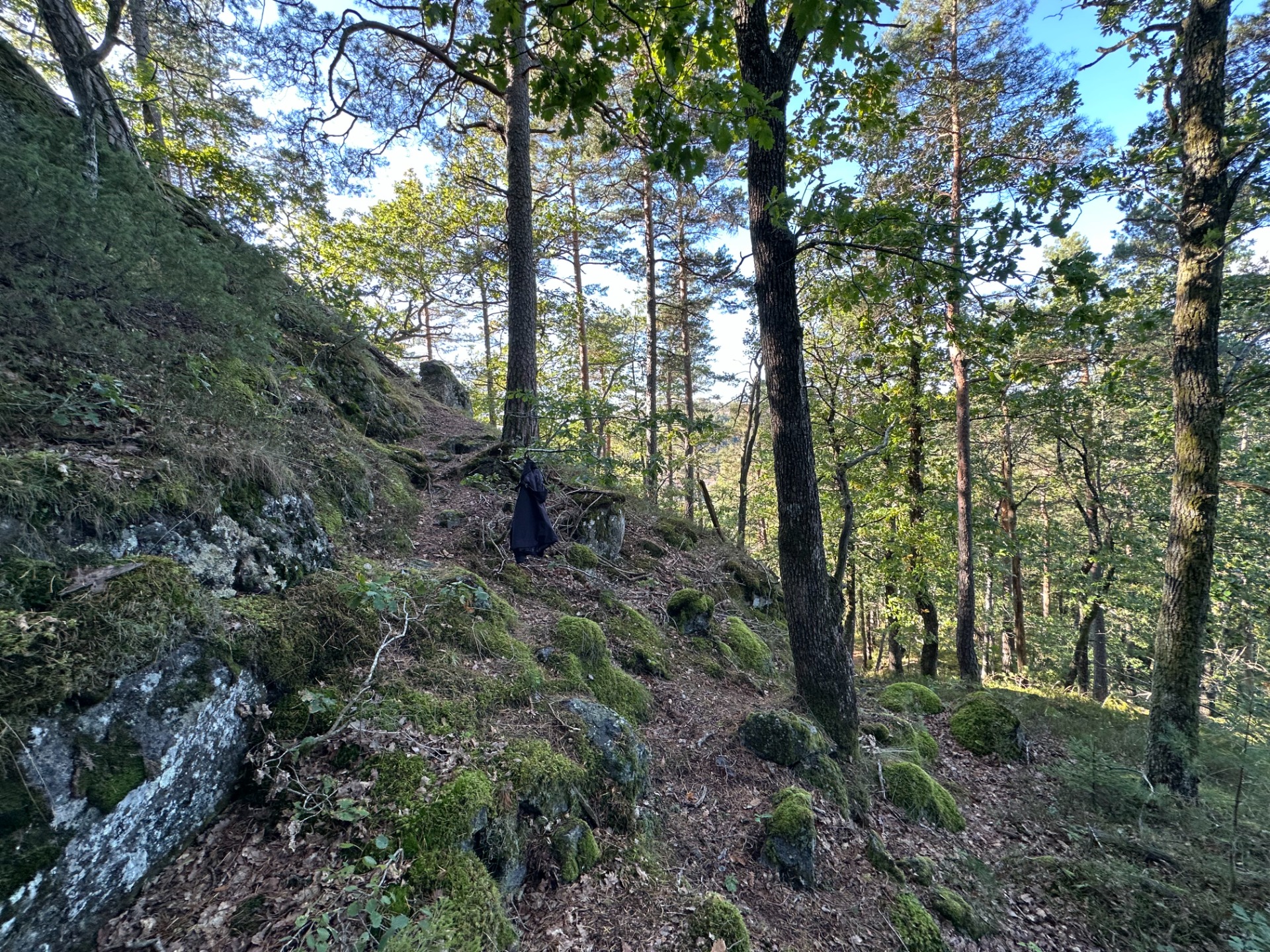 Stien vinger før du kommer opp på øverste platå