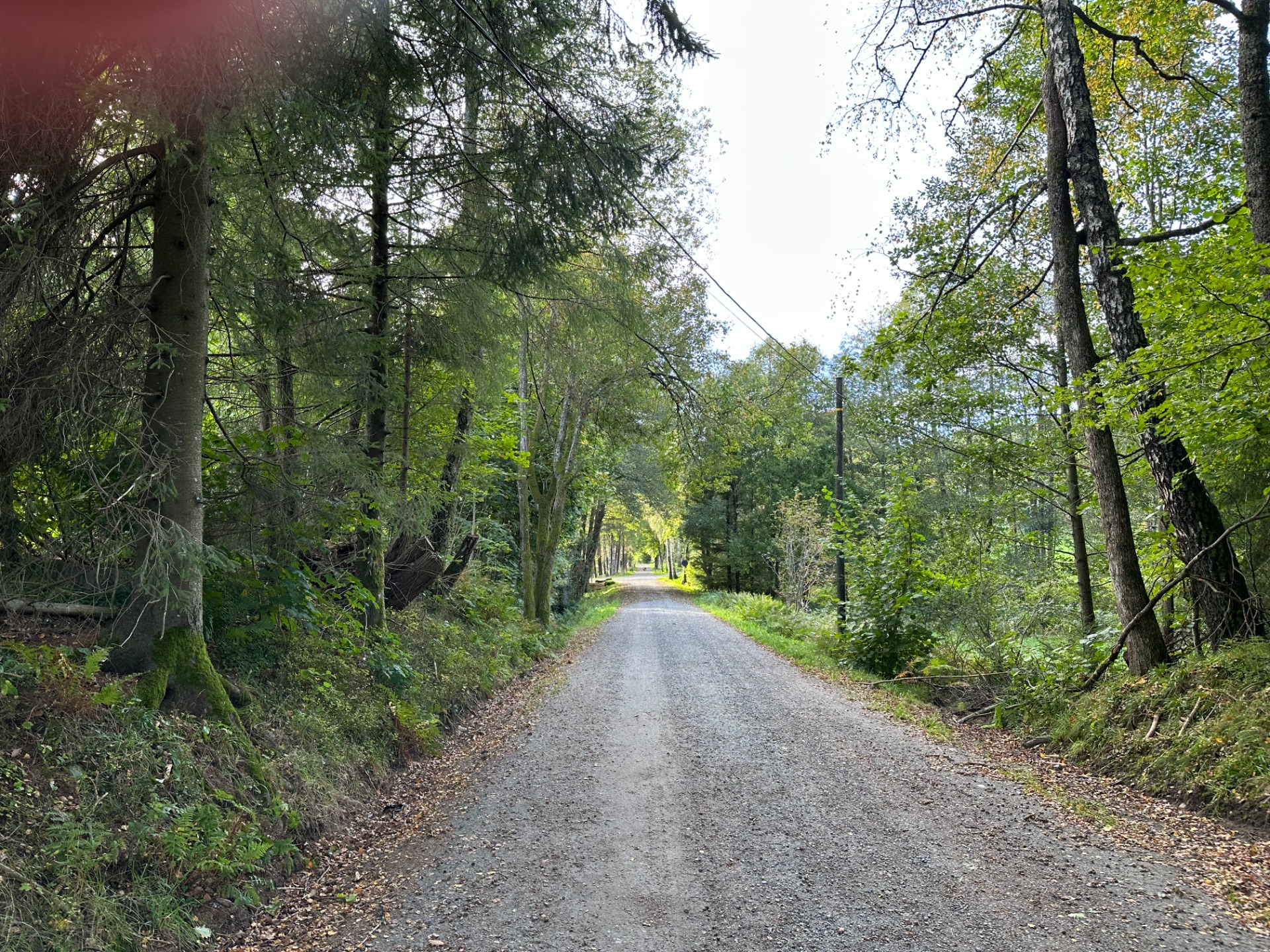 Nedlagt jernbanetrase