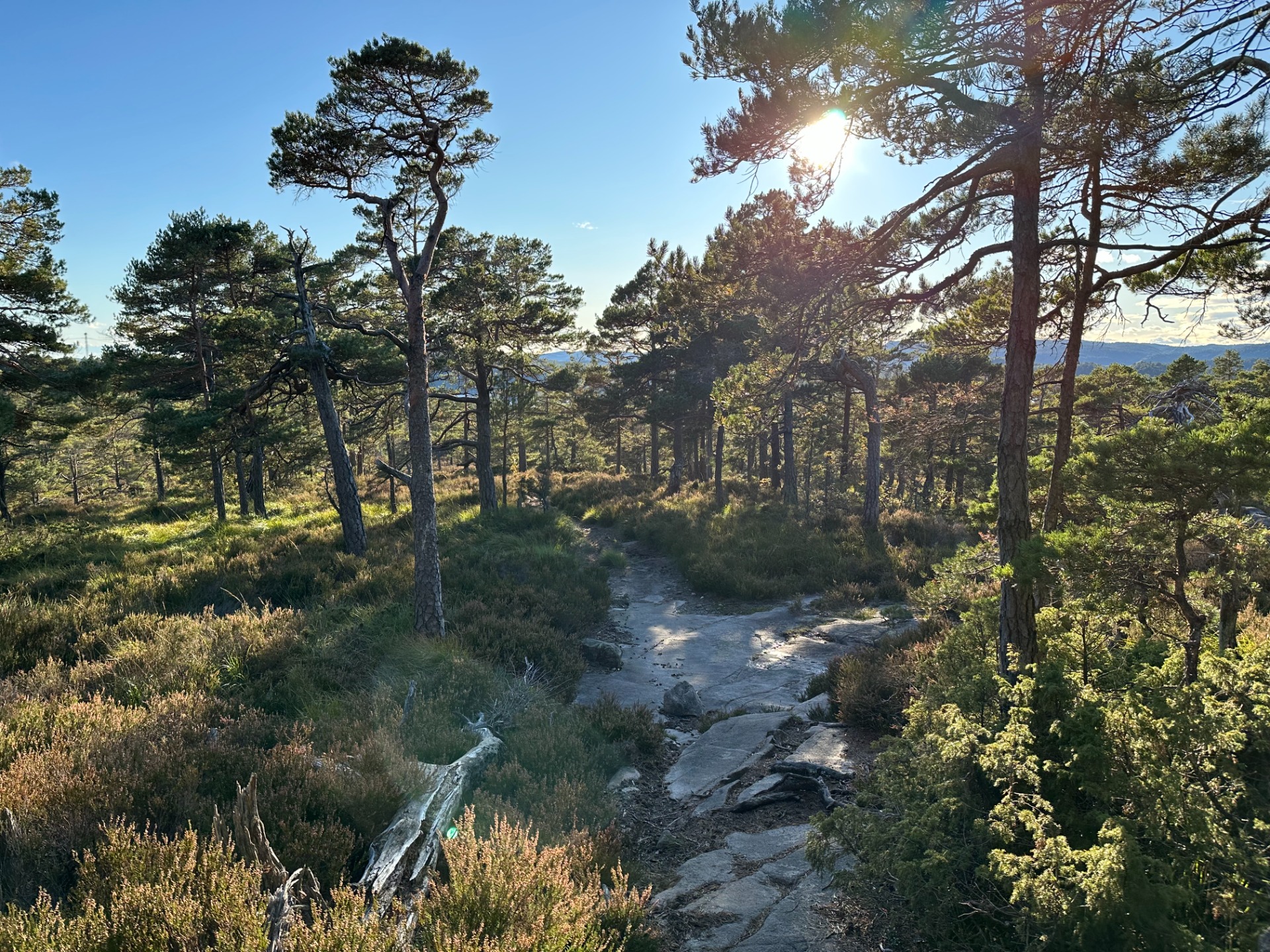 Ca 300 meter etter Kollen. 