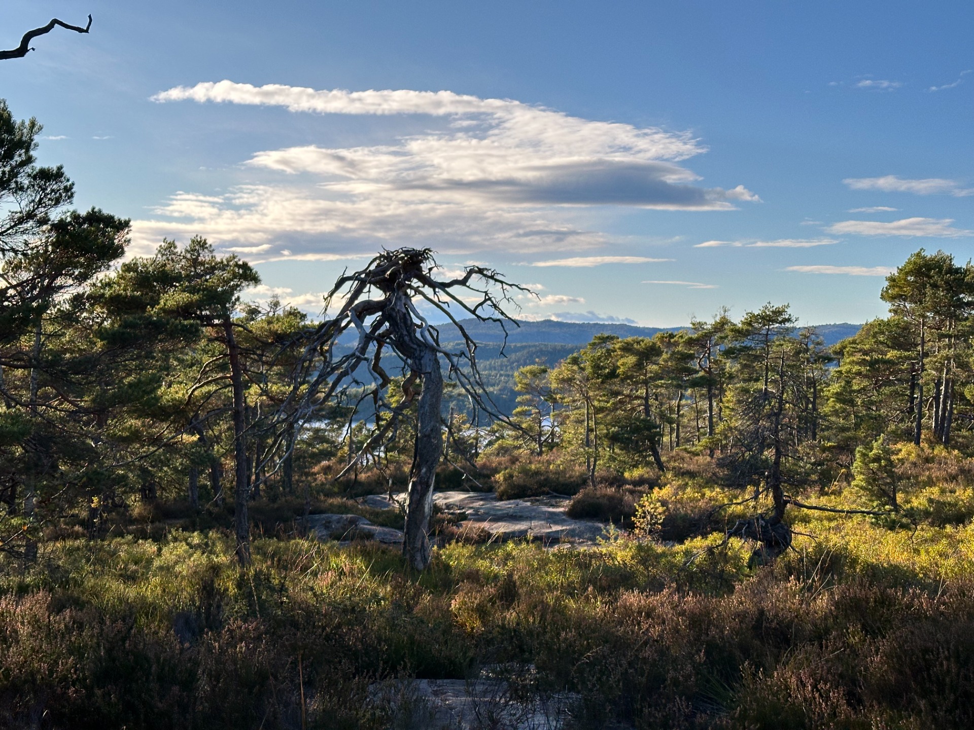 Kontrollen er festet på baksiden.