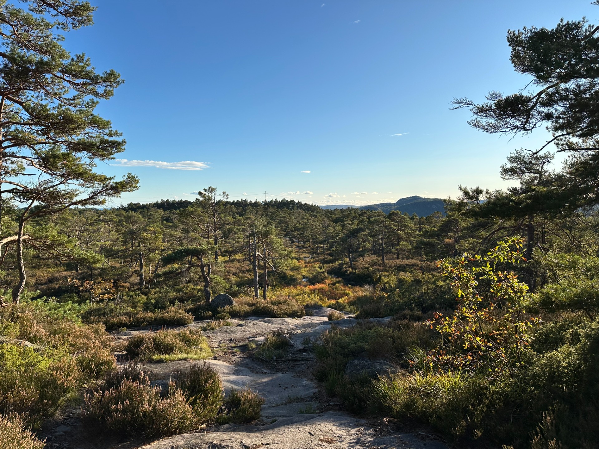 På vei ned fra Kollen.