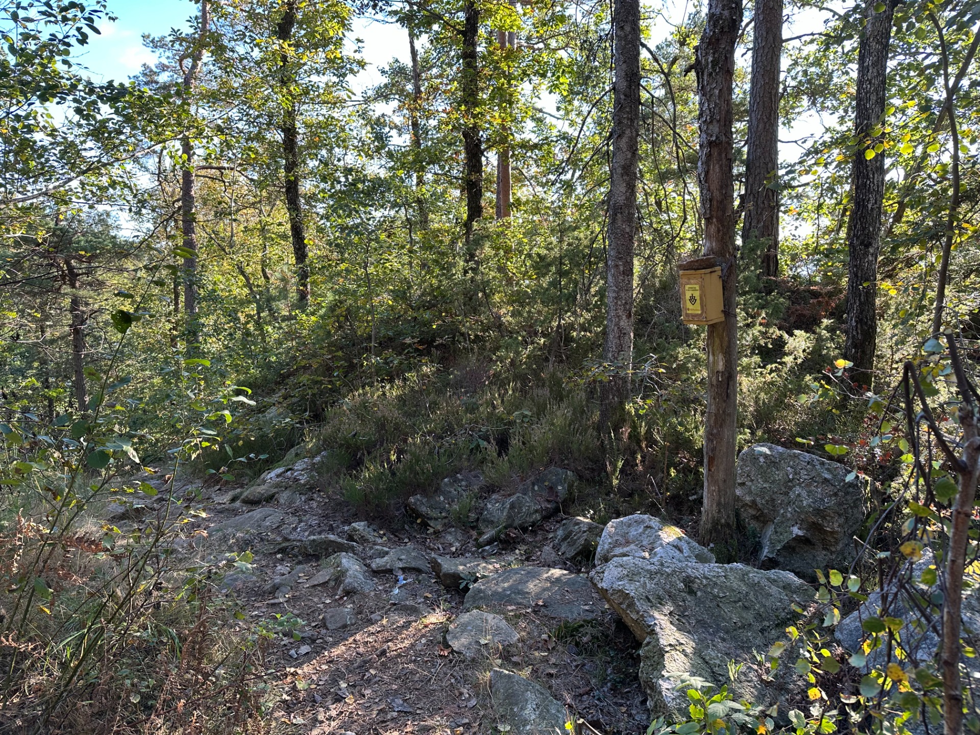 Kontrollkasse rett før bratt nedoverbakke