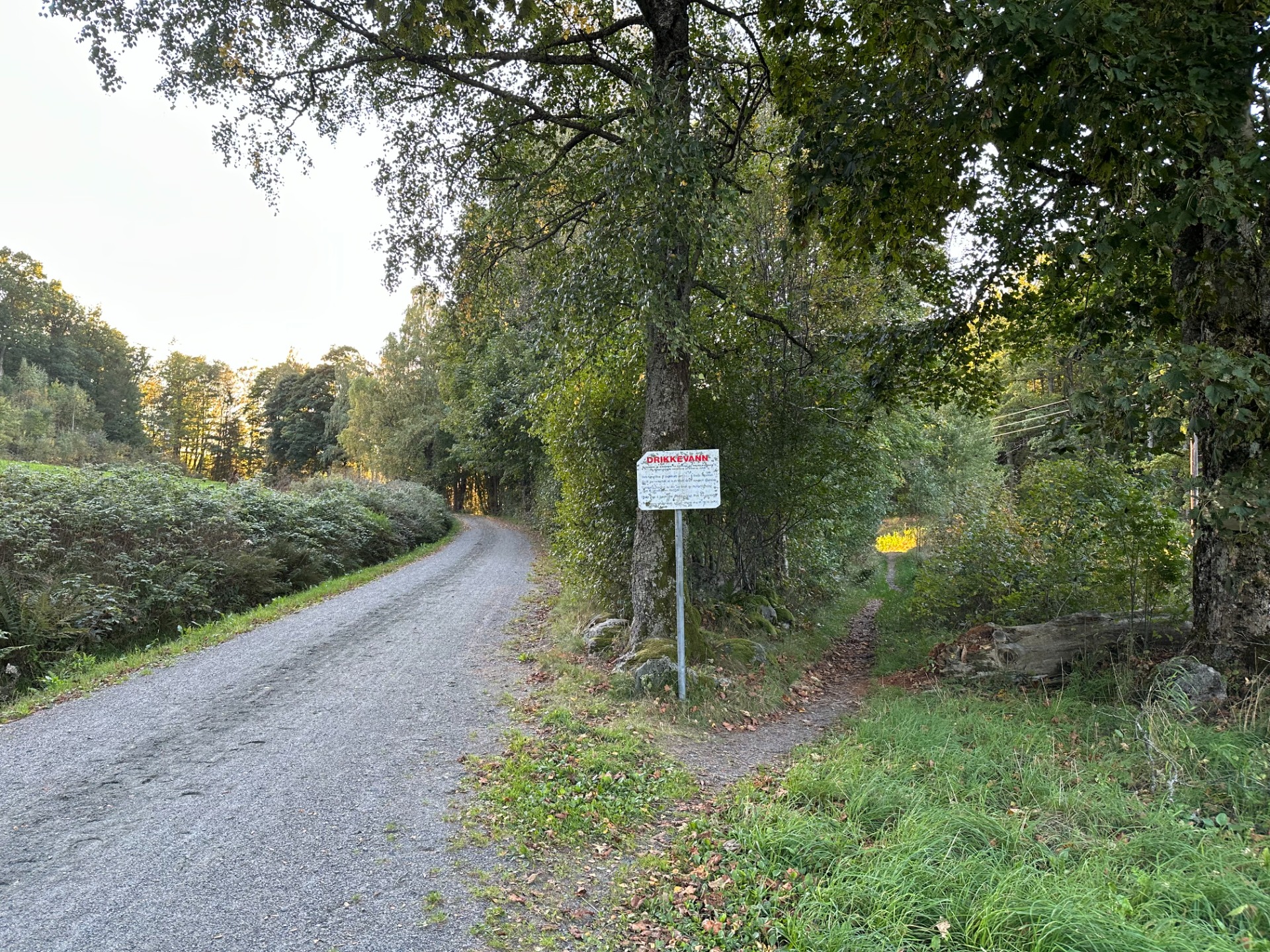 Ved 5,5 km