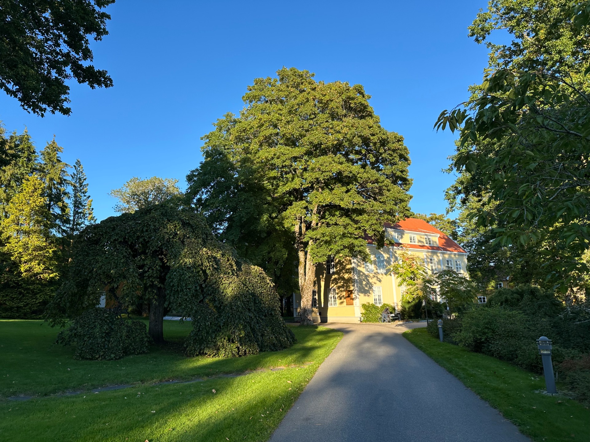 Hovedhus Dømmesmoen