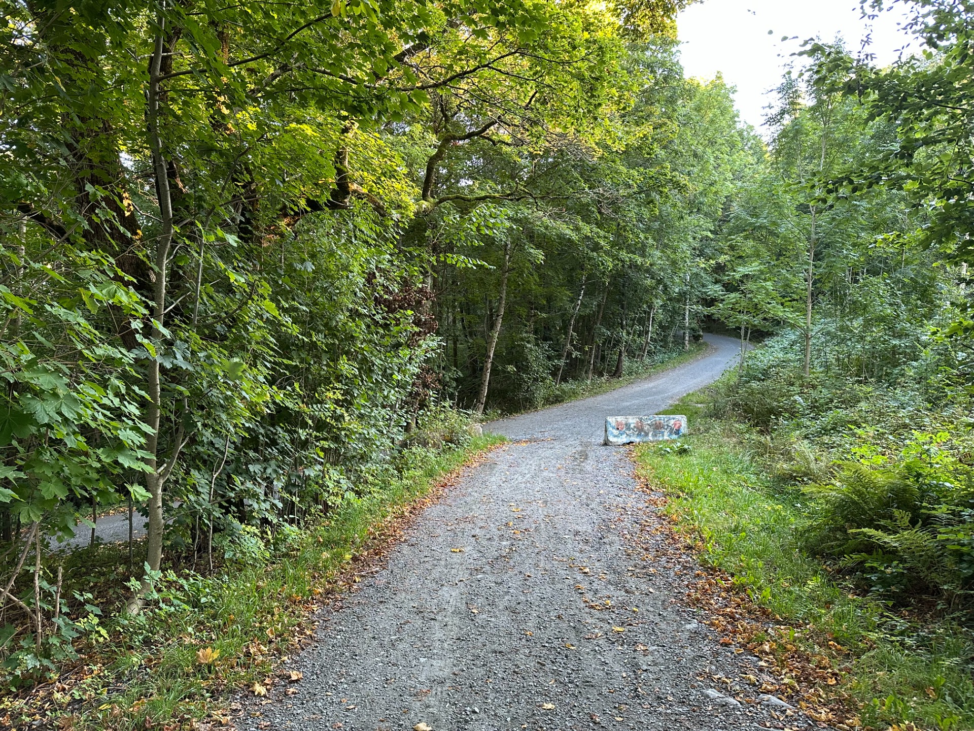 Veidele like etter Edens hage