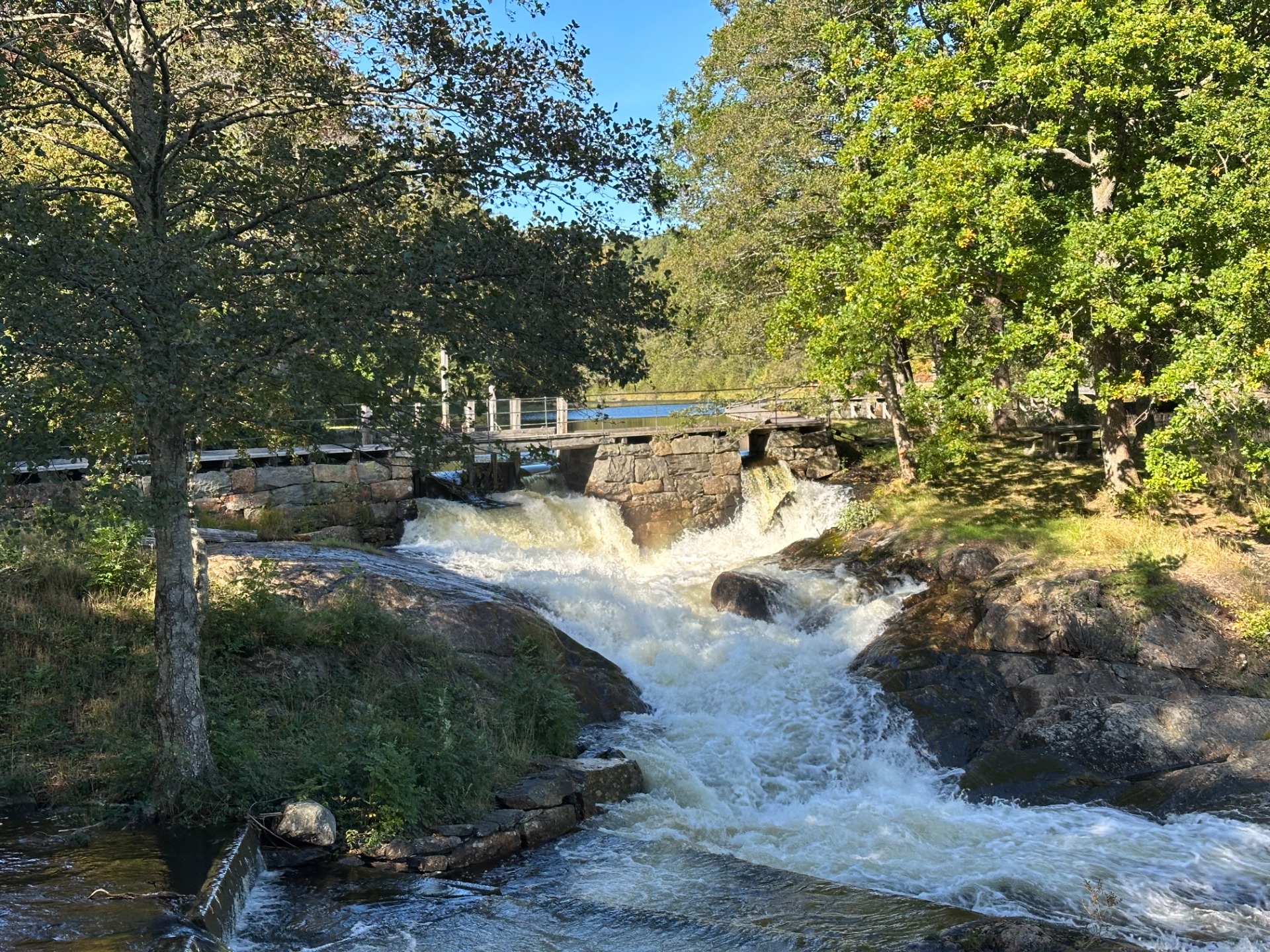Stemmene ved Kaldvell