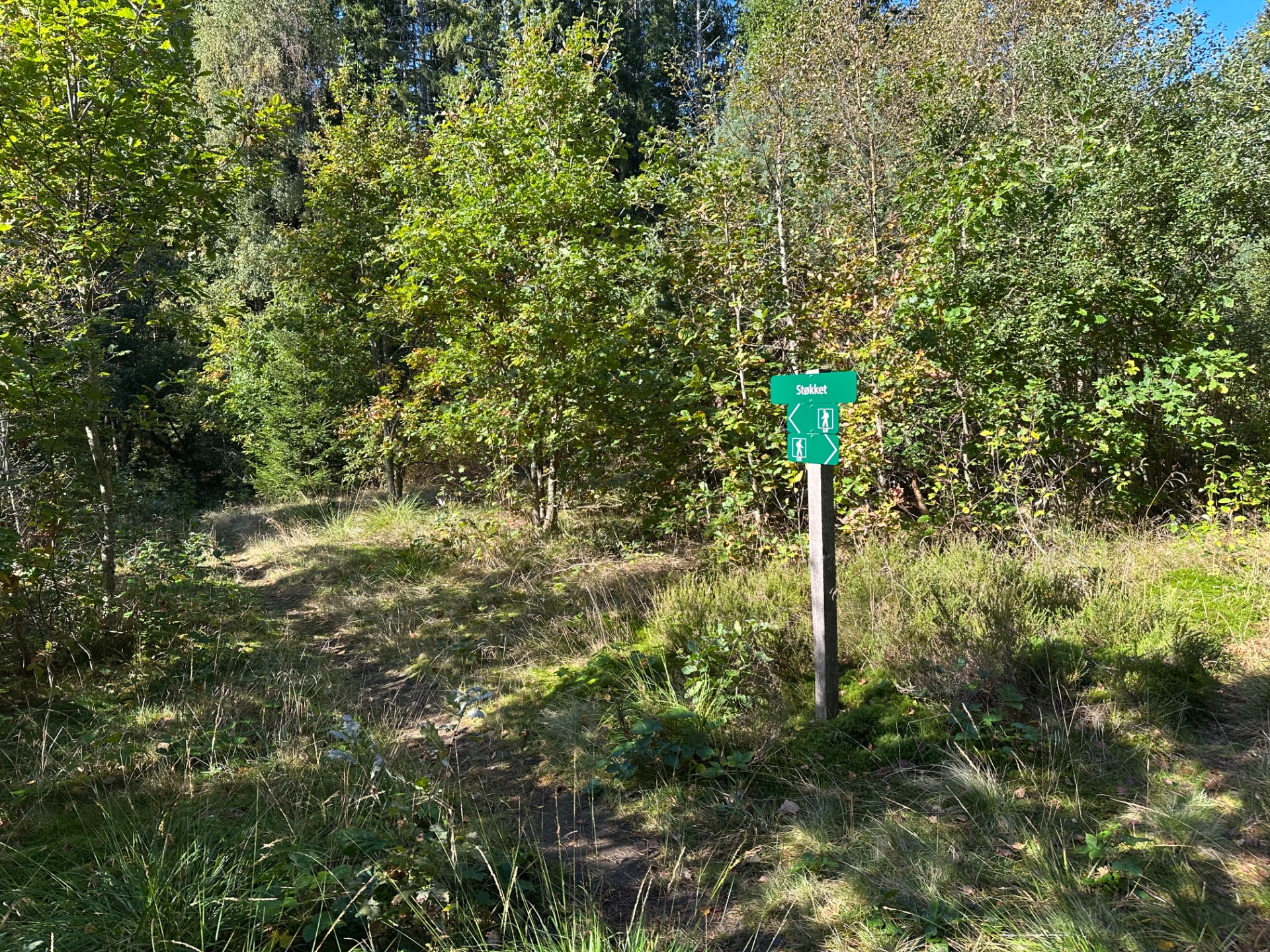 Gammel husmannsplass ca 1.2 km