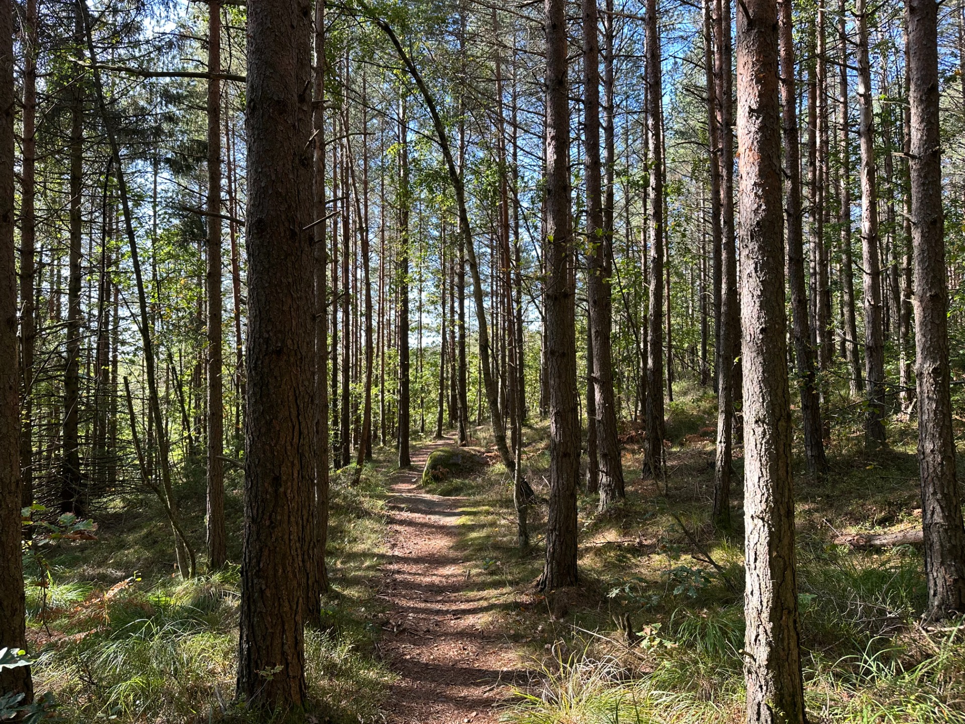 På vei til Sådeholla