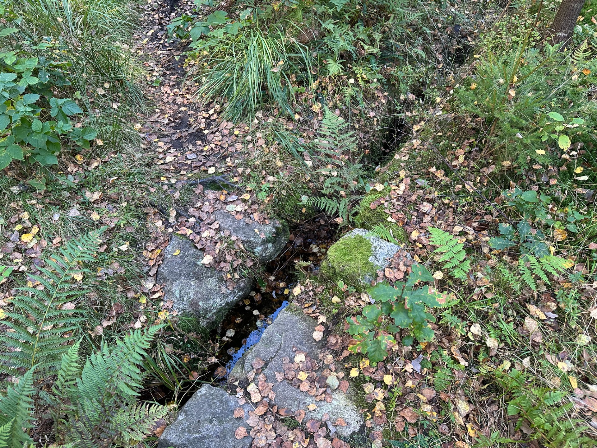 Steinsatt dreneringskanal i Knibemyra ca 2.0 km
