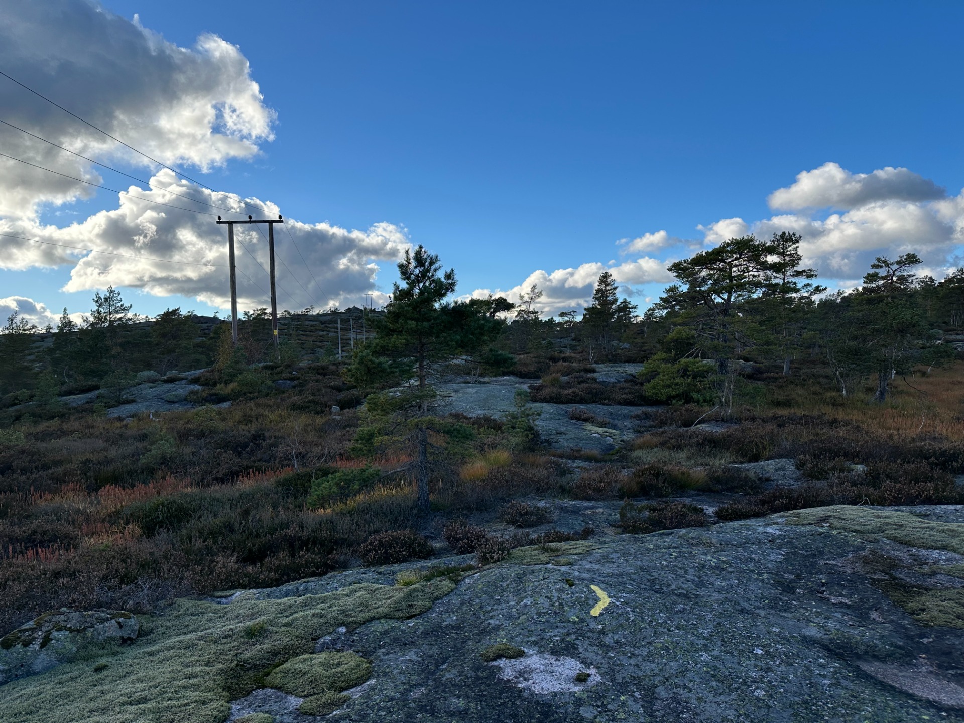 Merket og delvis vardet