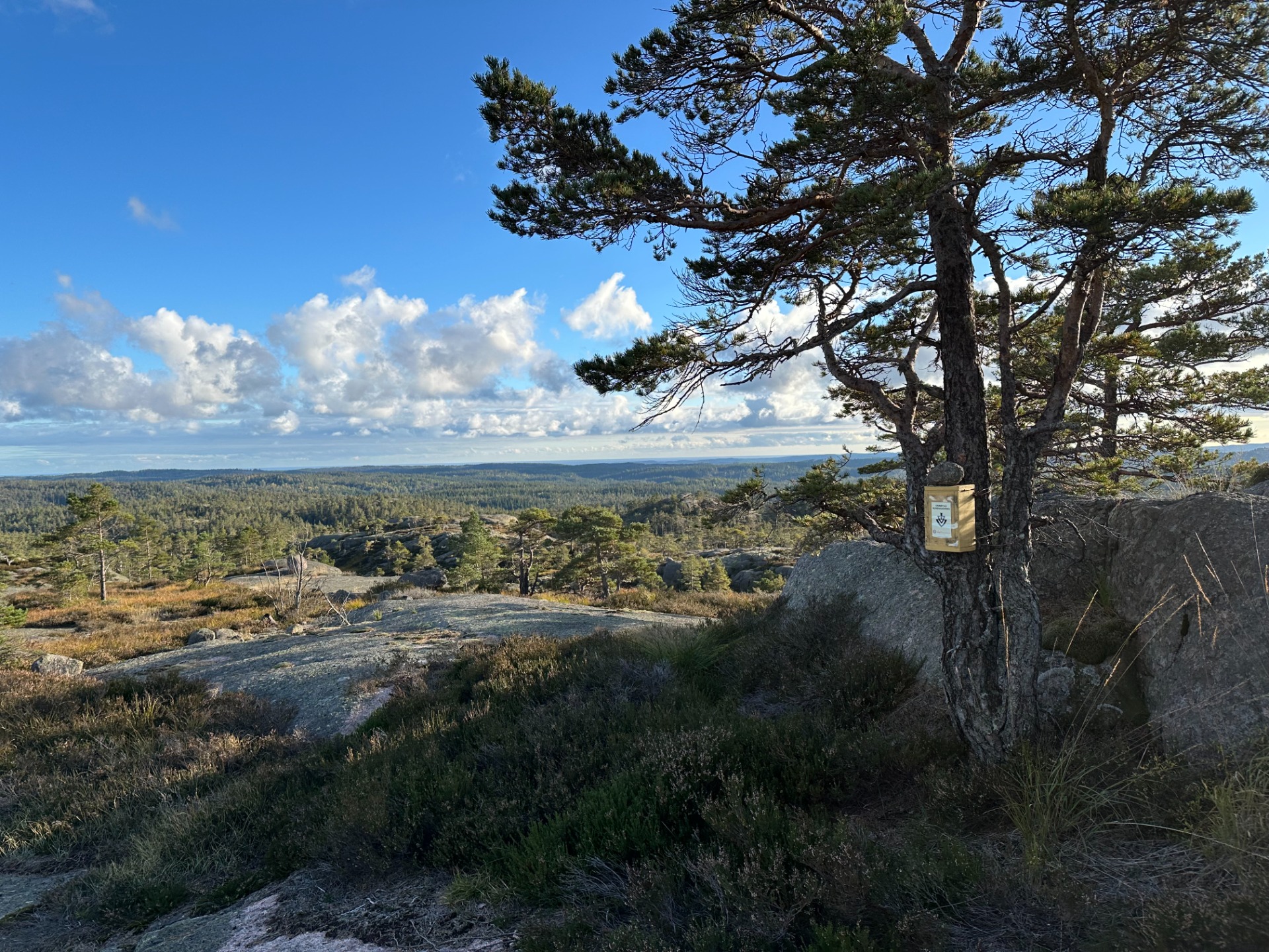 Kontrollkasse på toppen, 2.55 km