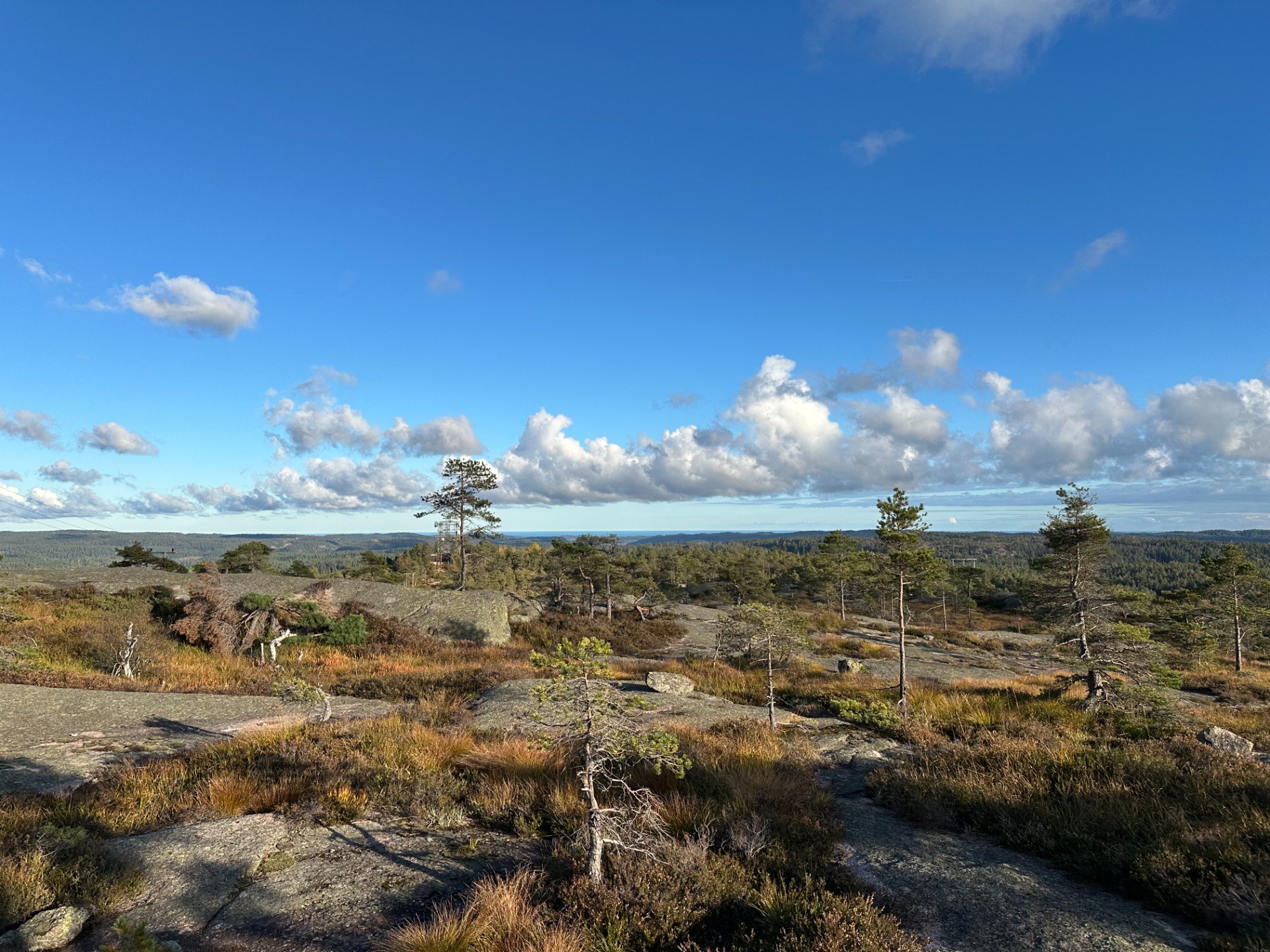 Utsikt fra Røyrknuten 355 moh