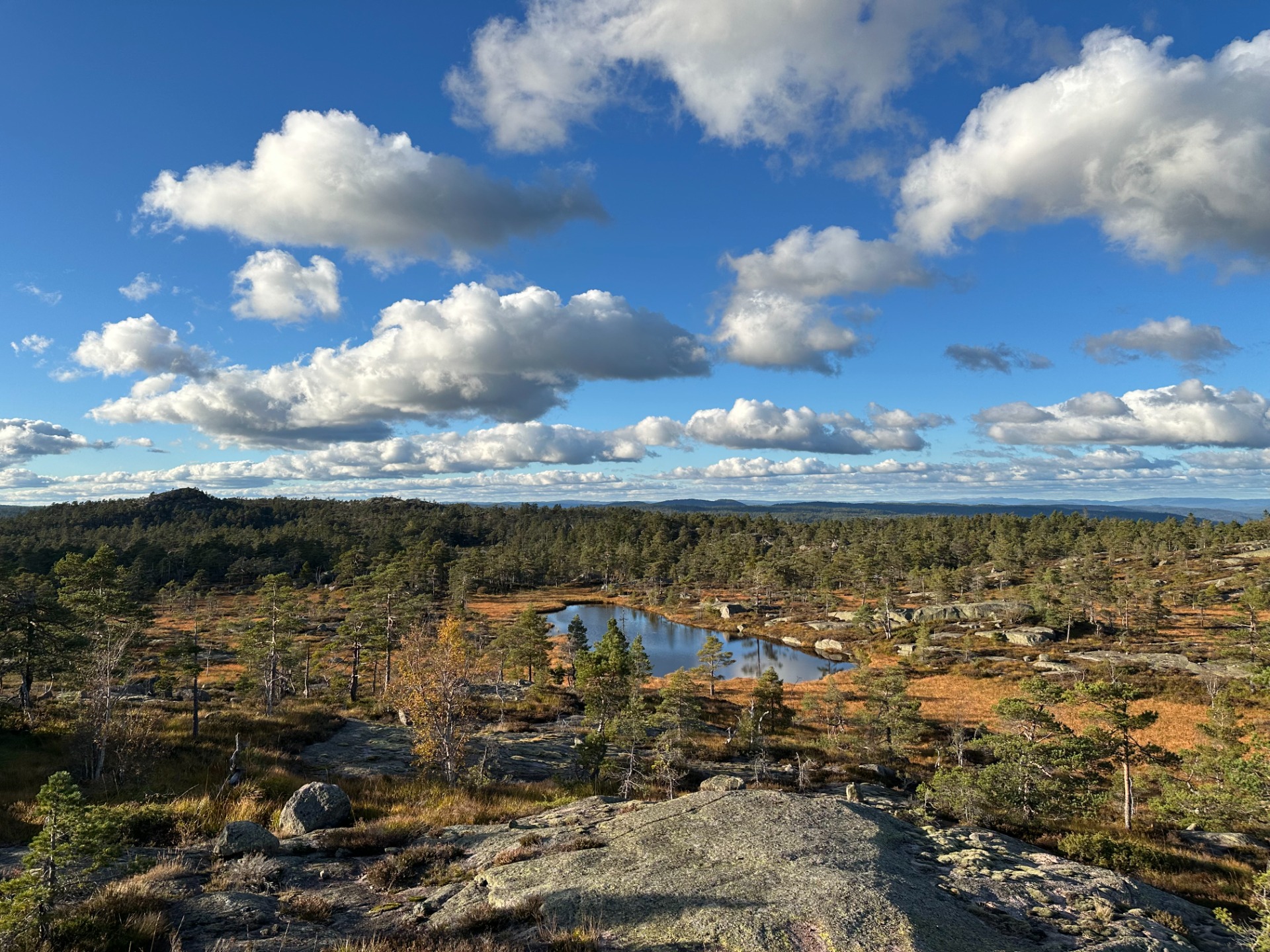 Rislåknuten til v. 377 moh