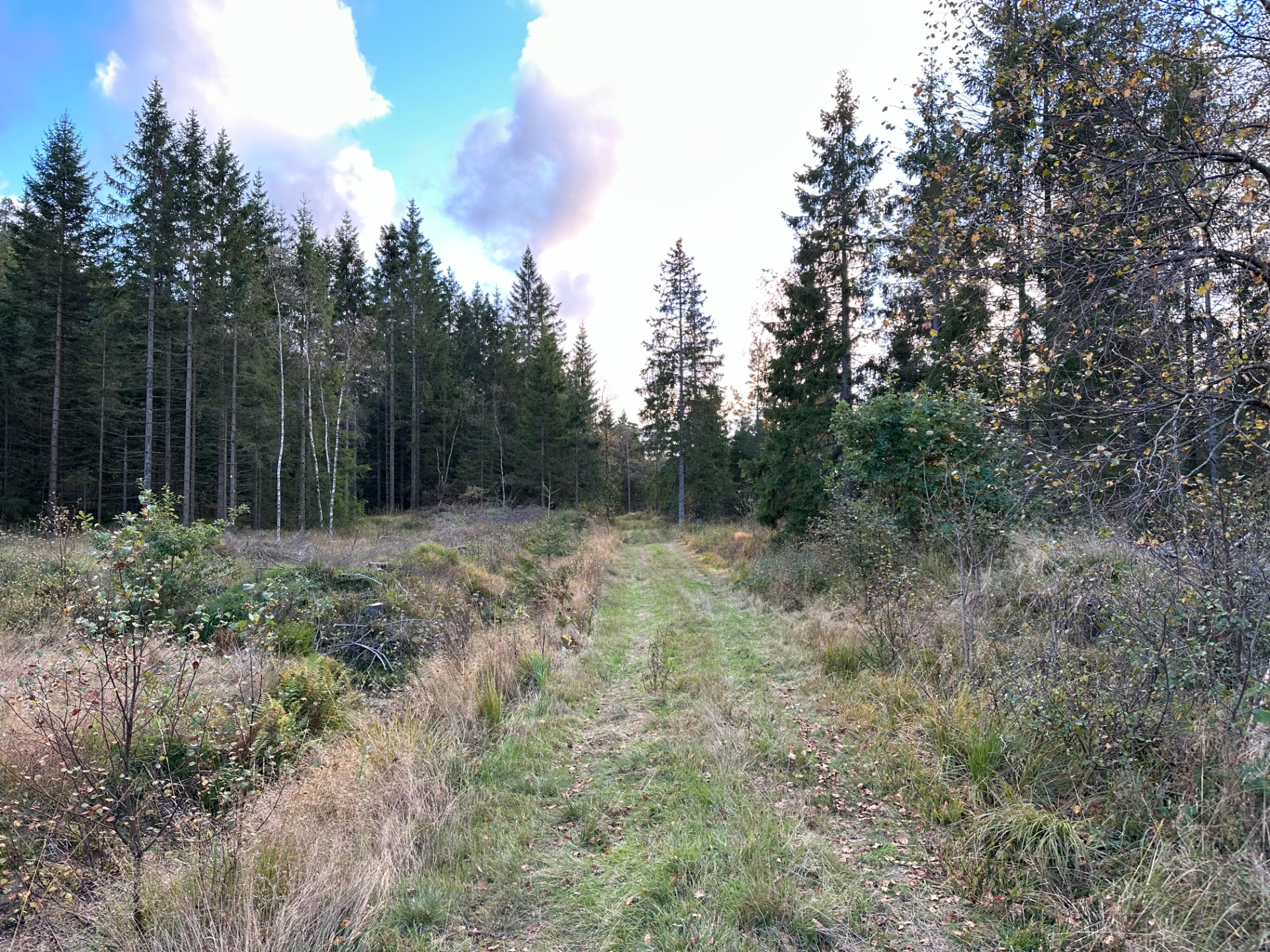 Fra snuplassen 5.1 km