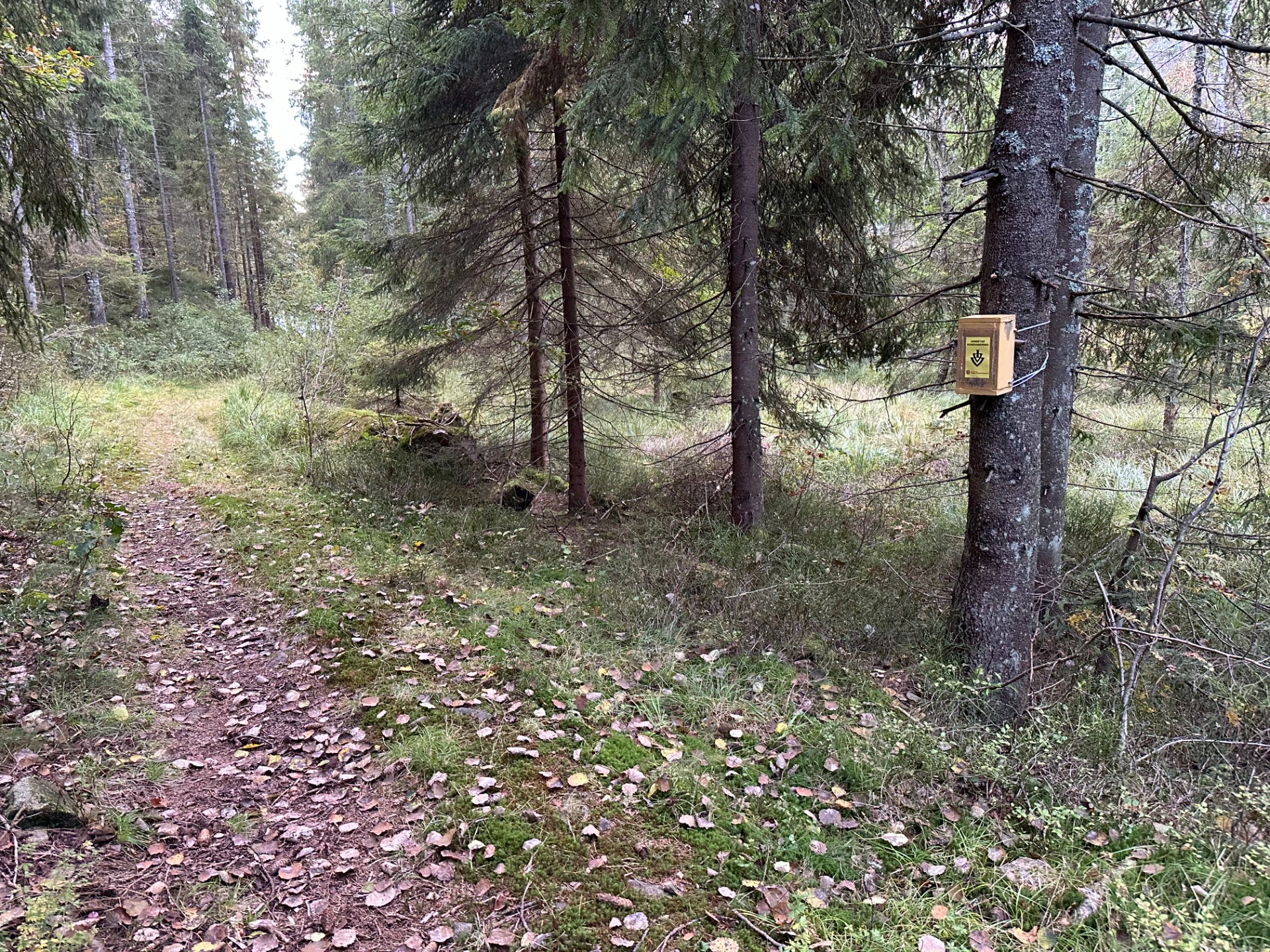 Kontrollkasse ved 6.0 km