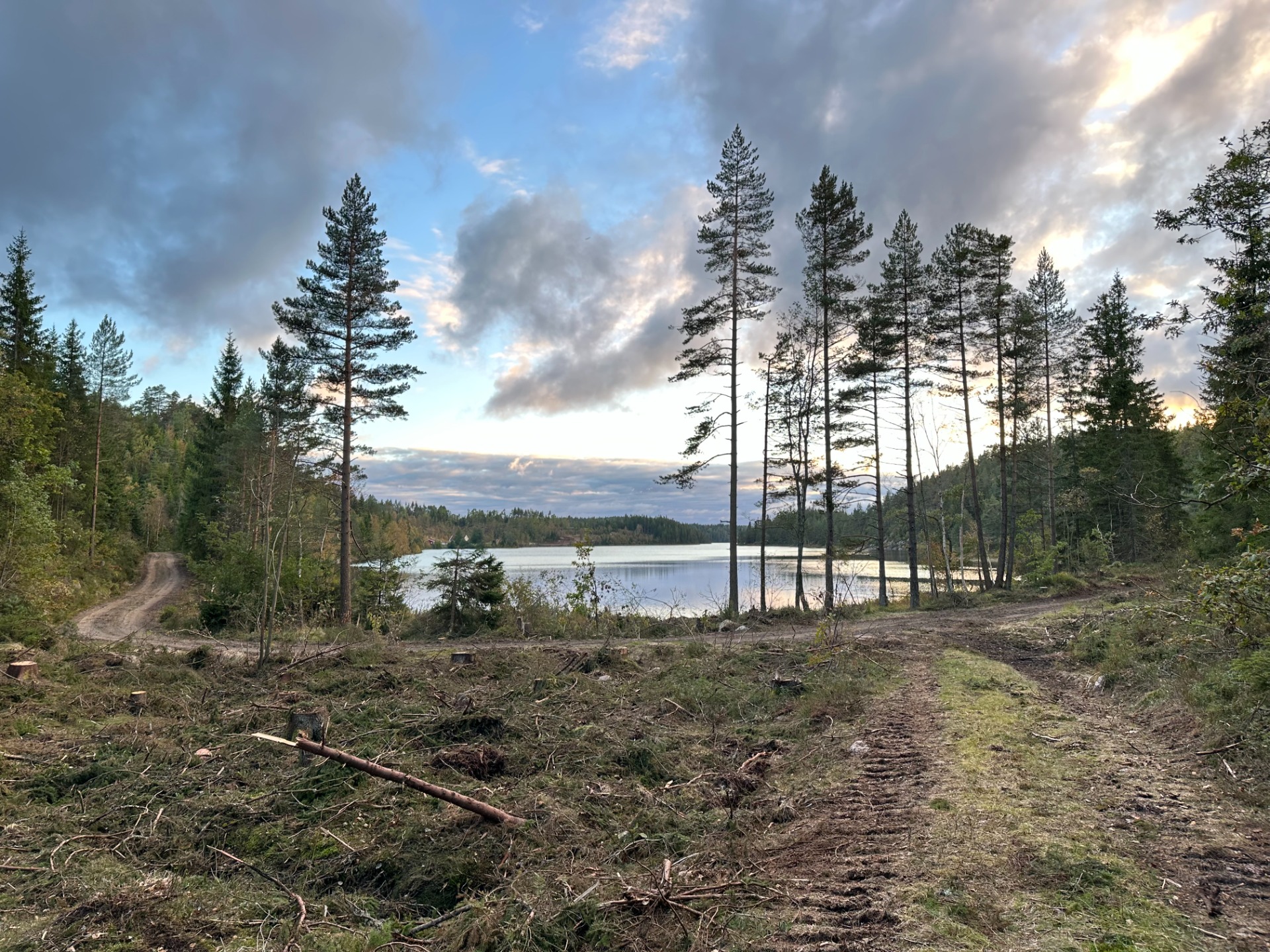 Steinsvann 6,1 km
