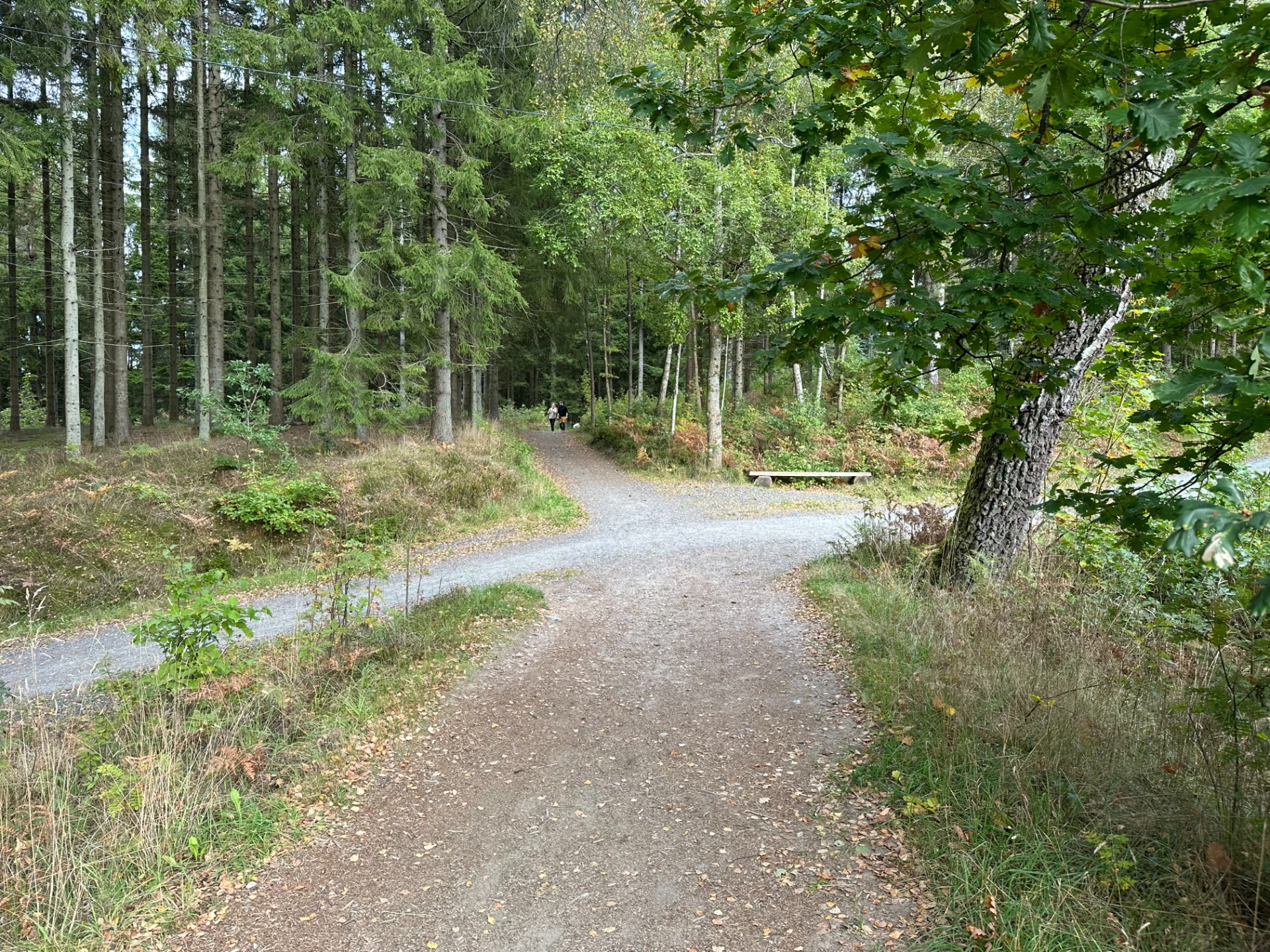 Ved 4,9 km