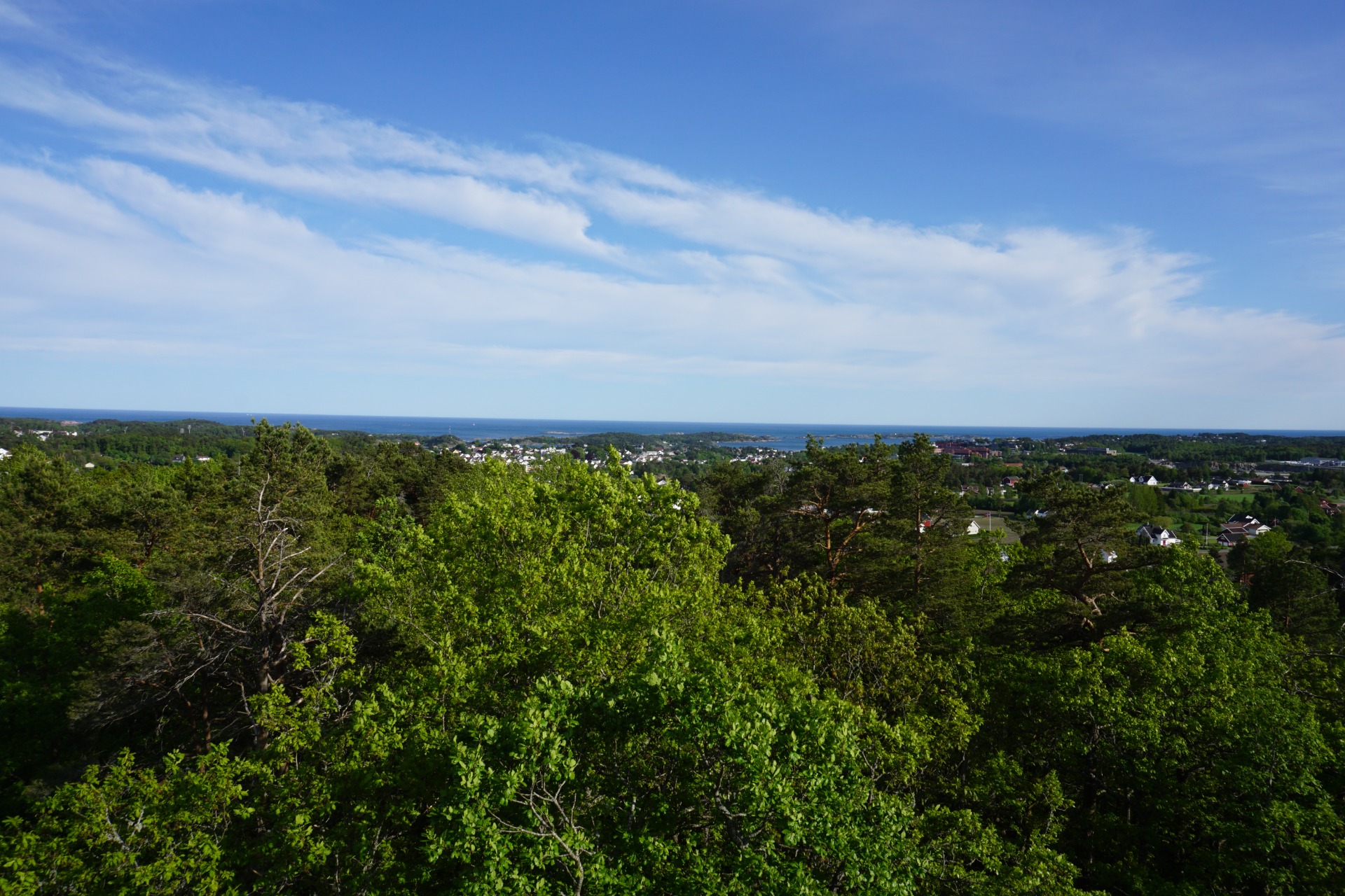 Utsikt fra tårnet