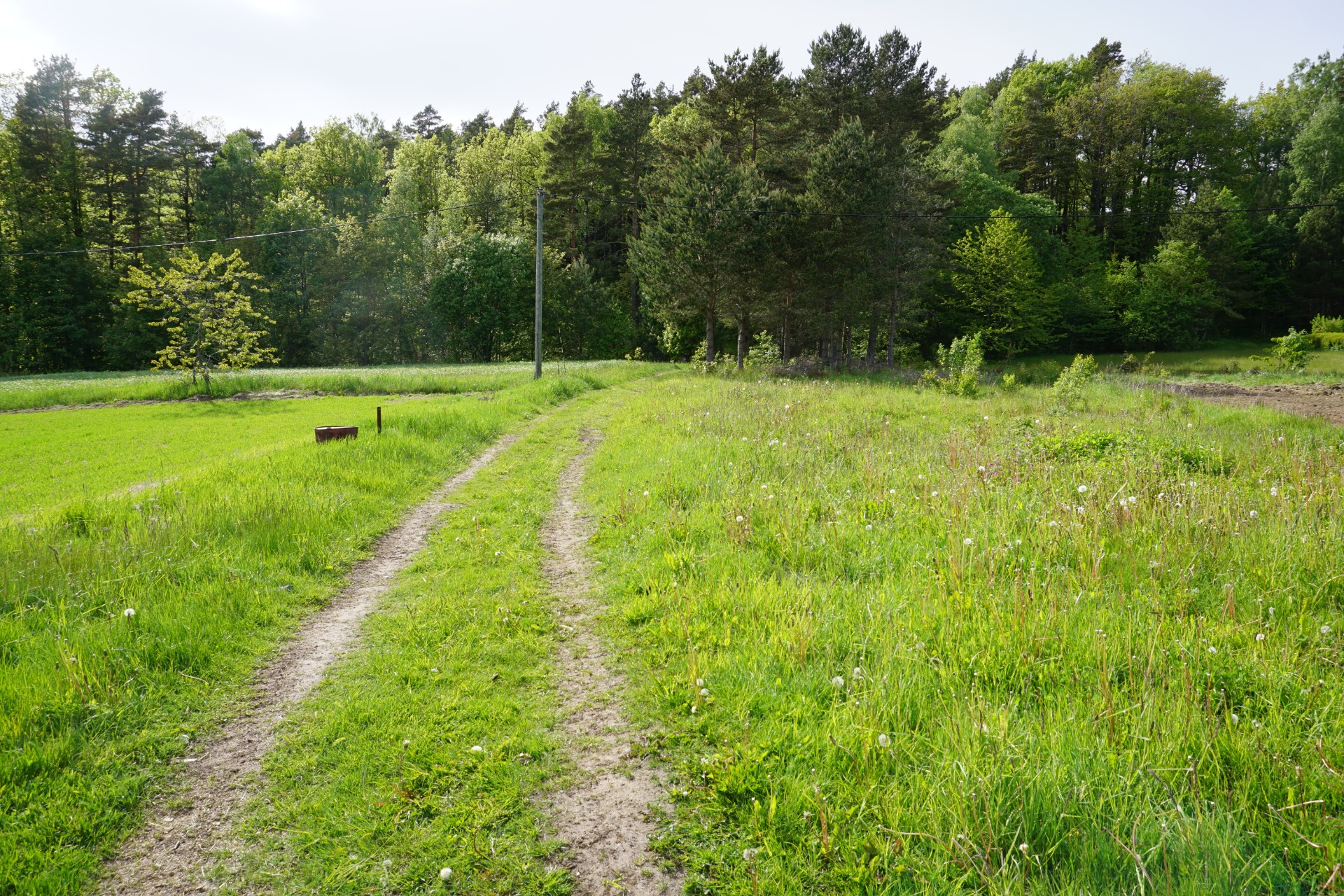 Følg stien/veien over jordet