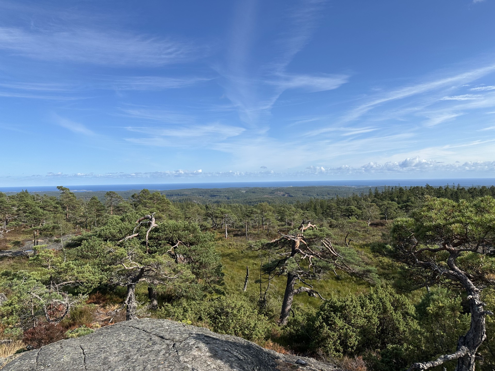 Utsikt fra Hisåsen