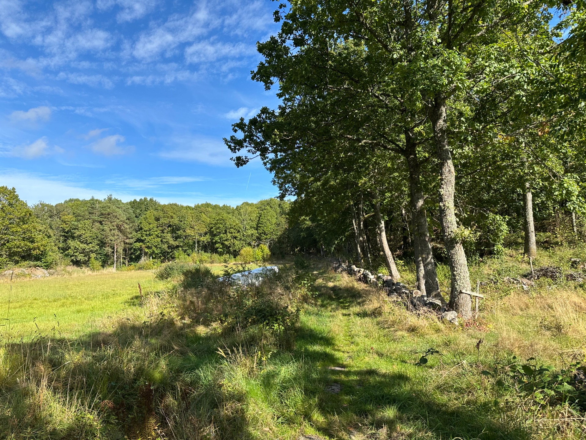 Langs steingjerde, 0.95 km
