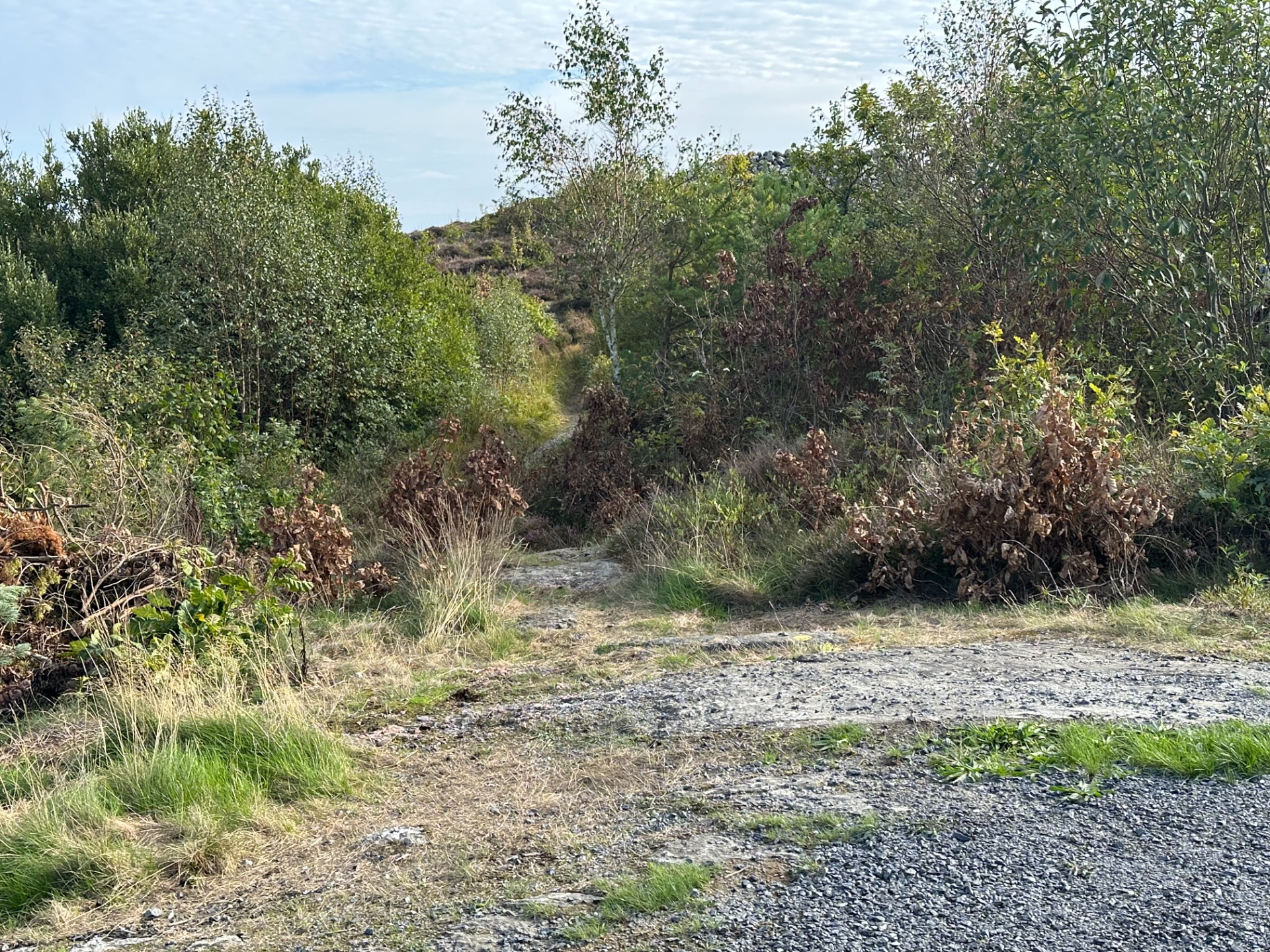Sti ved snuplass, 4.7 km