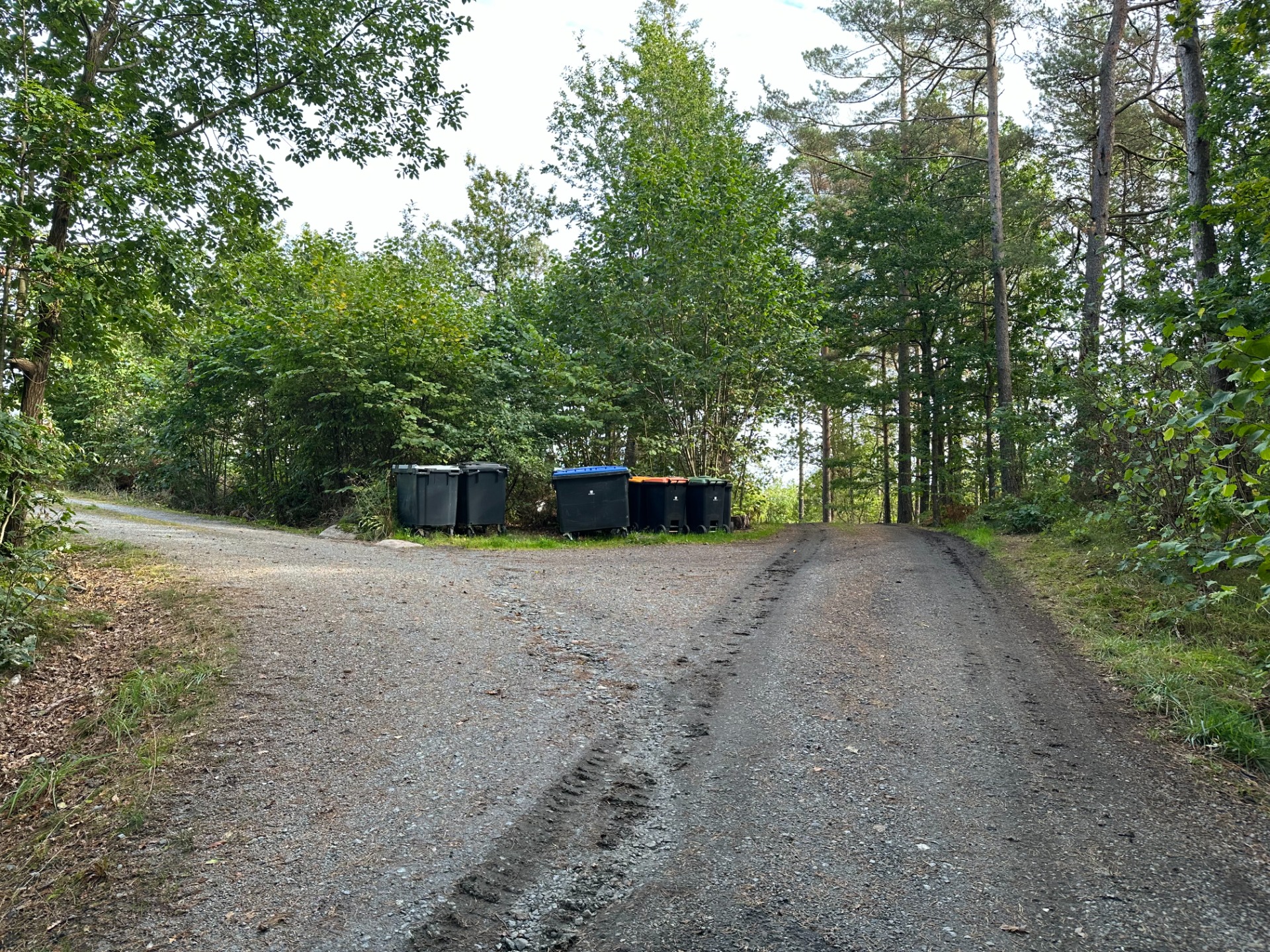 Veidele etter bom